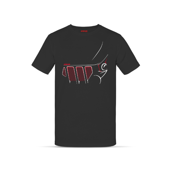 Picture of T-shirt, black (unisex)