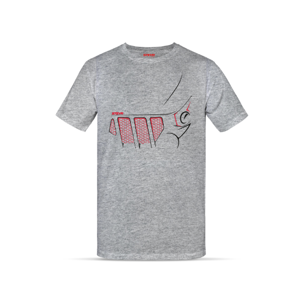 Picture of T-shirt, gray (unisex)