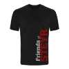 Picture of T-shirt "Friends of Steyr", gray