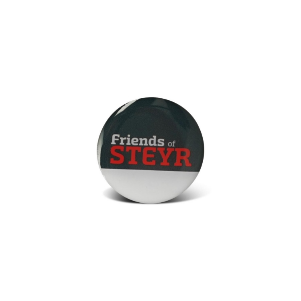 Picture of Pin Friends of Steyr