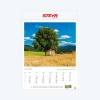 Picture of Wall calendar "Landpartie"