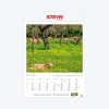 Picture of Wall calendar "Landpartie"