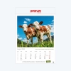 Picture of Wall calendar "Landpartie"